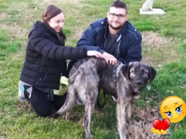 Kesh ha trovato famiglia!